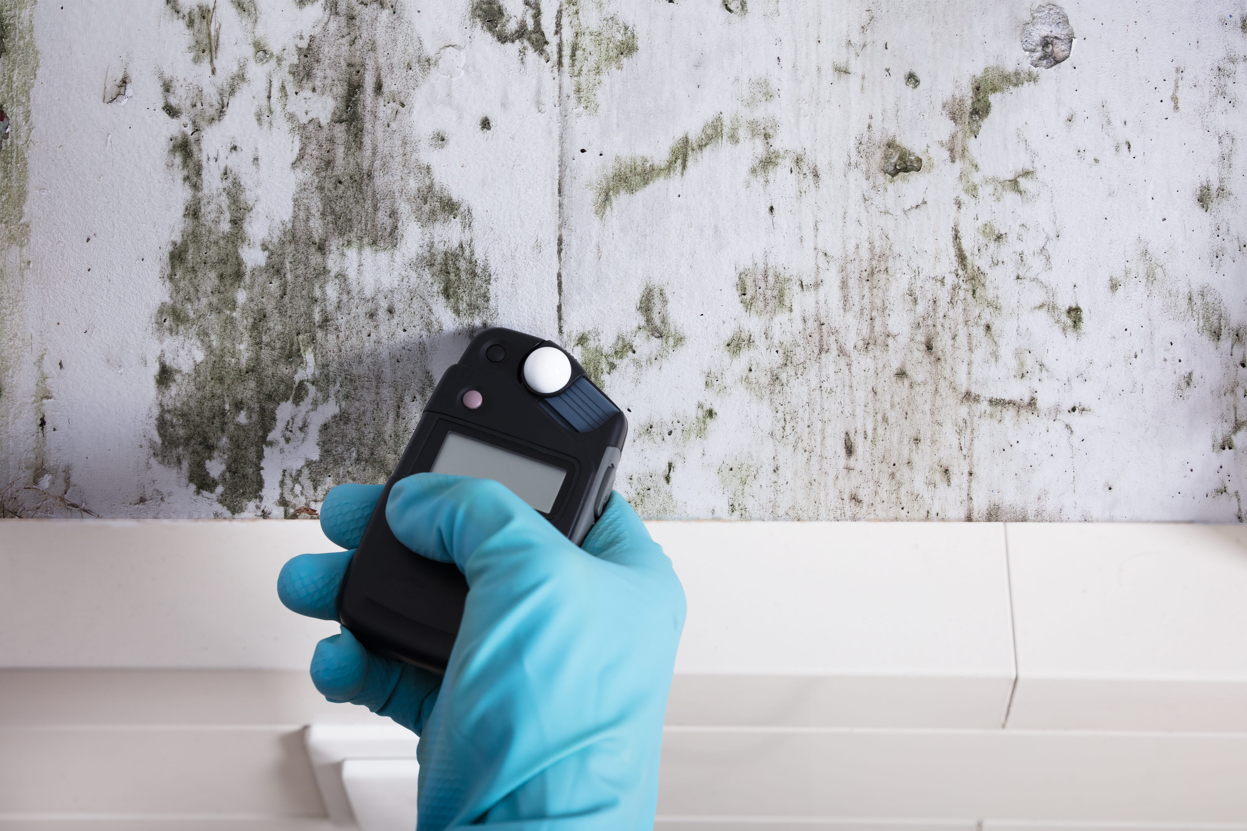 What’s Involved in Structural Drying After a Water Damage Emergency